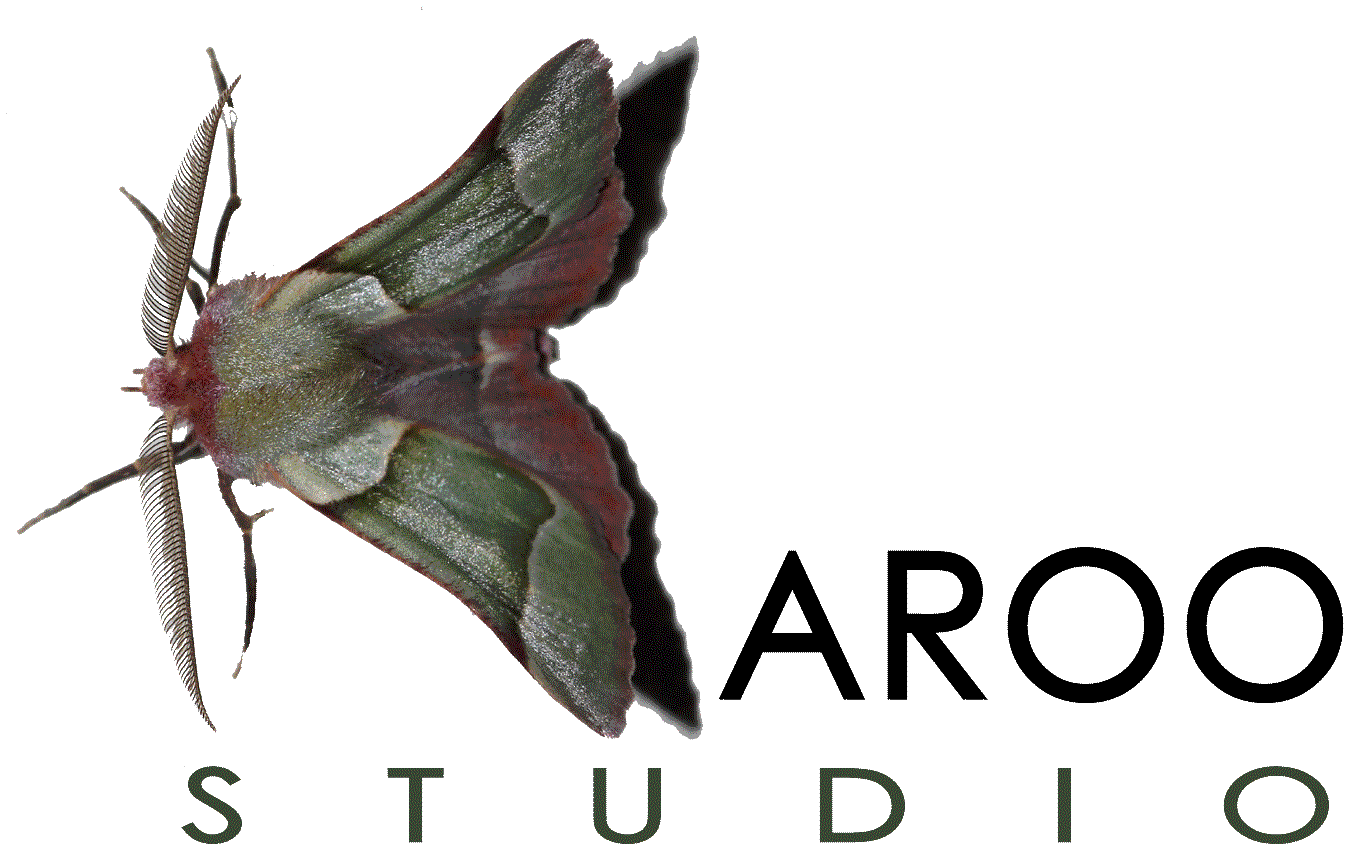 Karoo Studio logo